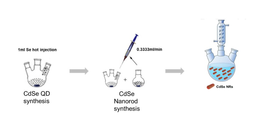 나노 로드시드 합성.jpg