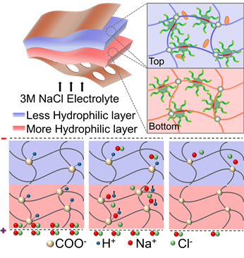 HENGs Fabrication and Power Generation Mechanism.png