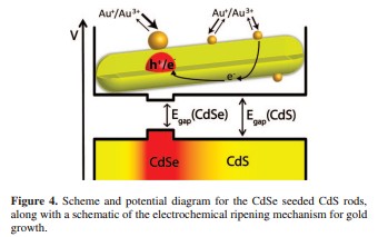 금증착 이미지.jpg