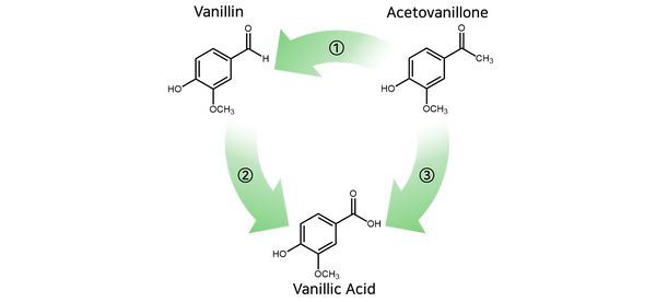 적당한 파일.jpg