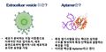 2019년 12월 8일 (일) 09:53 판의 섬네일