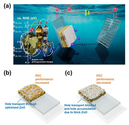 Fig. 7. (a) Band gap mechanism. (b) Optimized ZnO photoanode. (c) Thick ZnO photoanode.