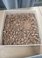 2026년 6월 8일 (월) 23:26 판의 섬네일