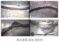 2021년 6월 8일 (화) 12:06 판의 섬네일