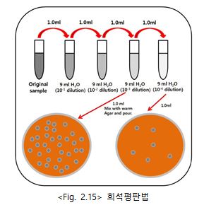 희석평판법.JPG