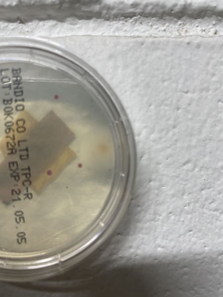 파일:KakaoTalk 20201203 192627854 03.jpg