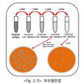 2021년 12월 15일 (수) 23:57 판의 섬네일