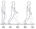 보행단계 3단계