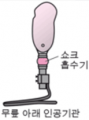 2019년 12월 19일 (목) 03:21 판의 섬네일