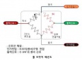 2018년 12월 19일 (수) 02:35 판의 섬네일